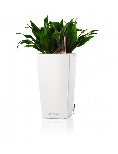 MINI-CUBI e MAXI-CUBI -...