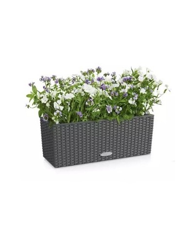 BALCONERA Cottage -...