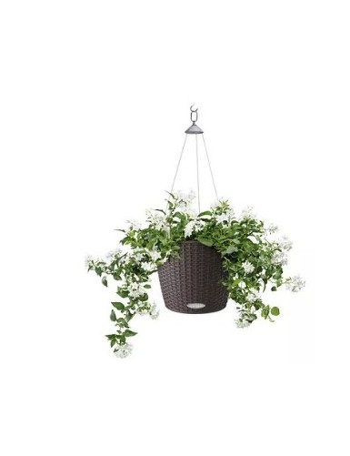 NIDO Cottage - Vaso sospeso...