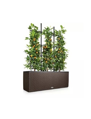 TRIO Cottage - Fioriera da...