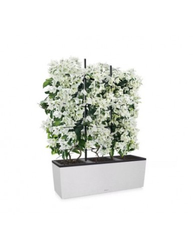 TRIO Stone - Fioriera da...