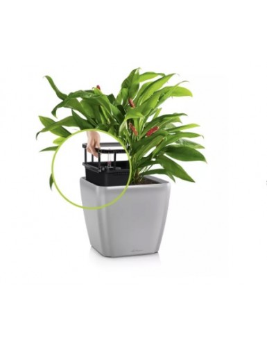 QUADRO Premium LS - Vaso da...