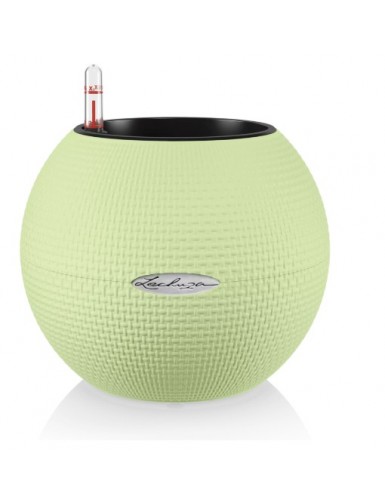 PURO Color 20 - Vaso da...