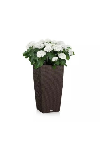 CUBICO Cottage - Vaso da...