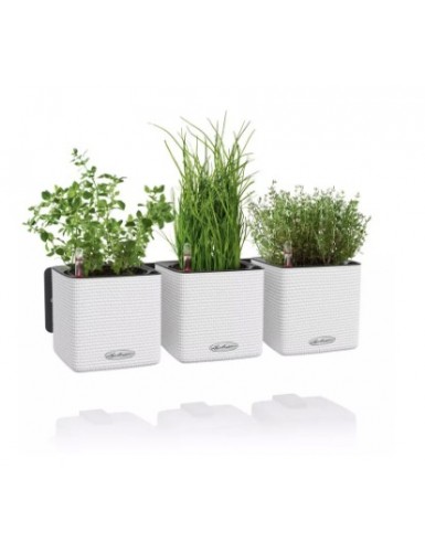 CUBE Color Green Home Wall...