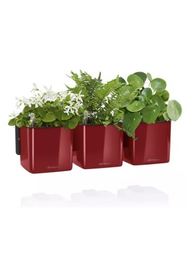 CUBE Glossy Green Wall Home...