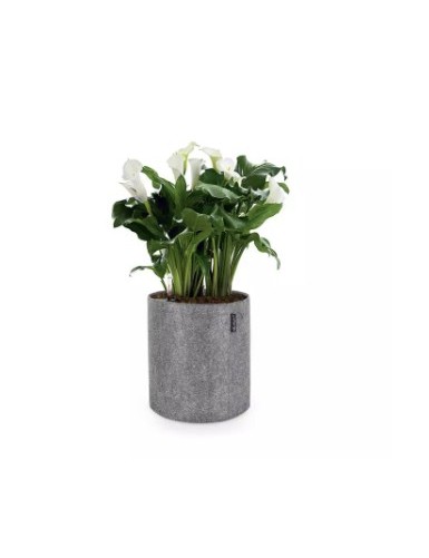 Trend Cover in Feltro -...