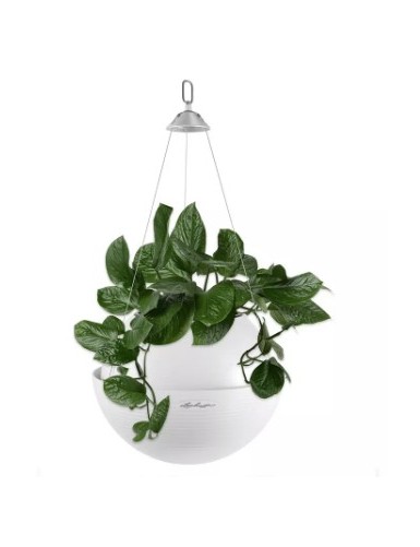 BOLA Color - Vaso sospeso...