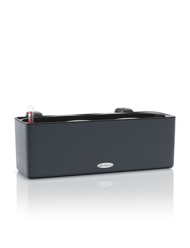 CUBE Color Triple - Vaso da...