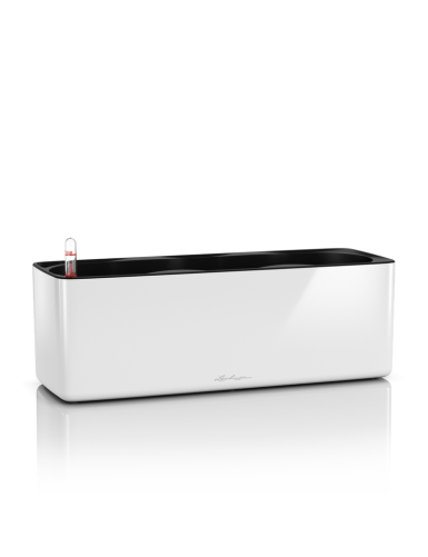 CUBE Glossy Triple - Vaso...