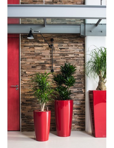 RONDO, un vaso a colonna perfetto per ogni spazio: a casa, in ufficio o  all'esterno