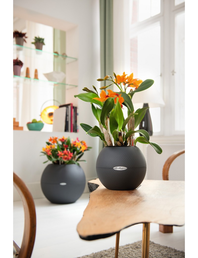 PURO Color 20, un vaso dalla forma sferica perfetto per la casa o l'ufficio.